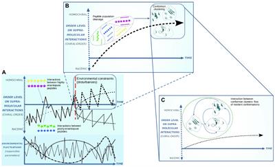 Spatial Information in the Emergence of Life